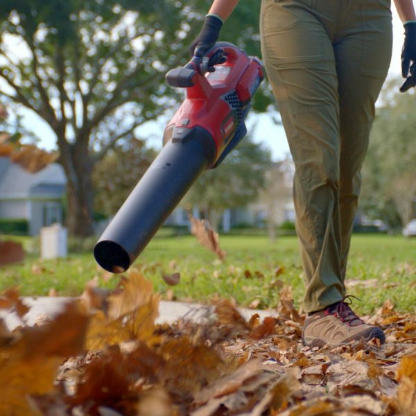Toro 60V MAX* 110 mph Brushless Leaf Blower with 2.0Ah Battery (51821)