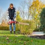 Toro 60V MAX* 24 in. (60.96 cm) Hedge Trimmer with 2.5Ah Battery