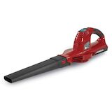Toro 20V Max Sweeper